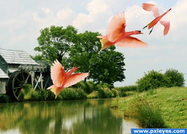 Red Flower Swans